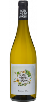 Domaine Des Grandes Espérances, La Java Sauvignon blanc Touraine AOC, 2024, Vin de France, France, 0.75 Blanc
