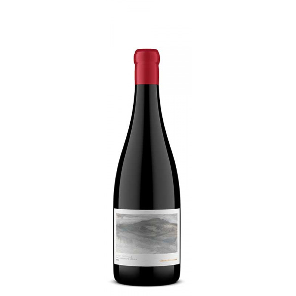 [VZAGABR210202] Gabrielskloof, Syrah on Shale, 2021, Swartland, Afrique du sud, 0.75 Rouge